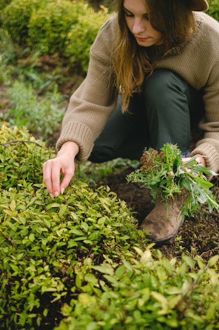 Créer un Jardin Naturel Sans Entretien : Guide Complet et Étapes Clés