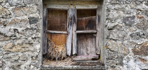 Quels sont les inconvénients d'une maison ossature bois